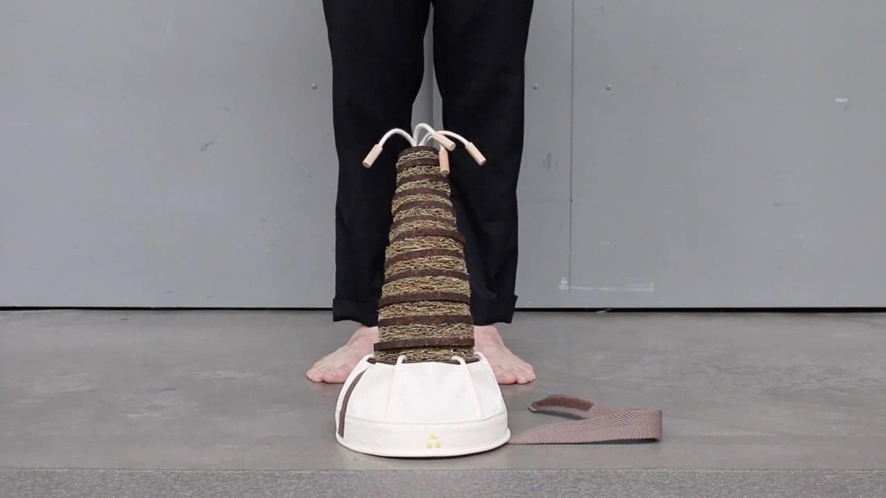 queue de tête posé devant des pieds